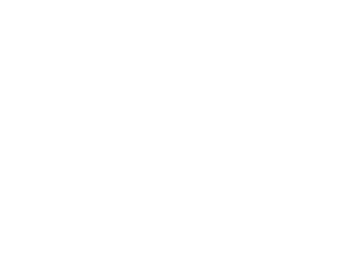 Social Media & Brand Building Strategy Icon