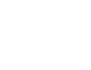System Development & Automation Icon