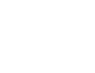 Website, SEO & COVERSION-Focused Design Icon